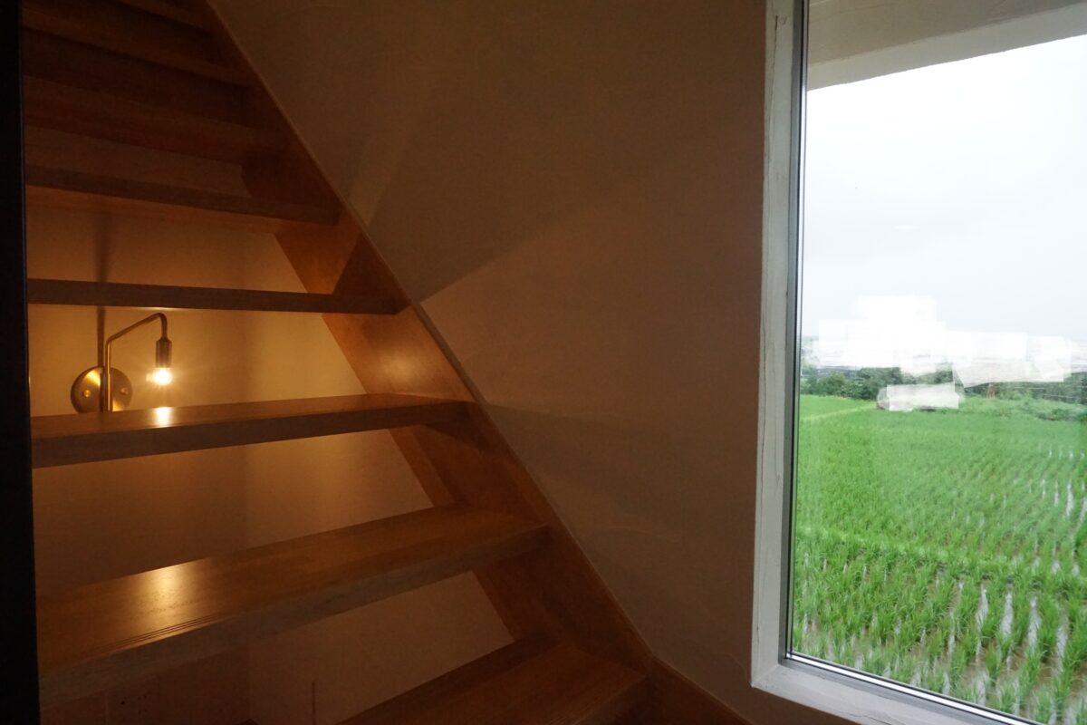 色と素材で魅せるバーチ無垢の家